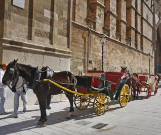 COCHE CABALLO PALMA coche caballo palma: