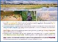 Alcudia Eco-Tourism